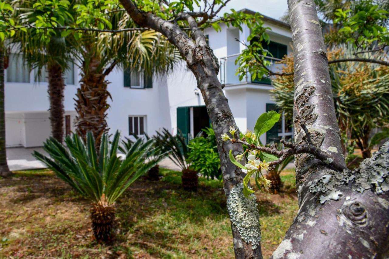Casa Do Cantinho Do Muro เซาวิเซนเจ ภายนอก รูปภาพ